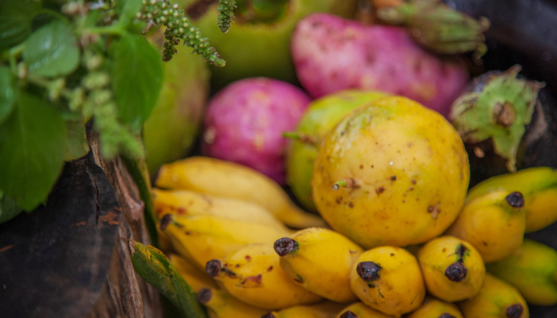 Quem produz o seu alimento?