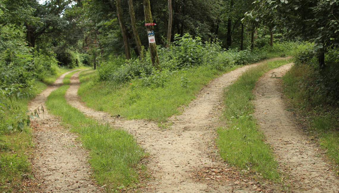A saúde é uma construção diária!