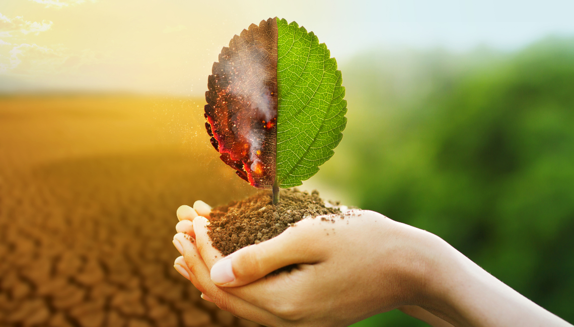 Mudanças climáticas?