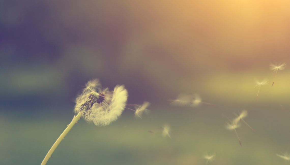 Pele seca e extremidades frias?