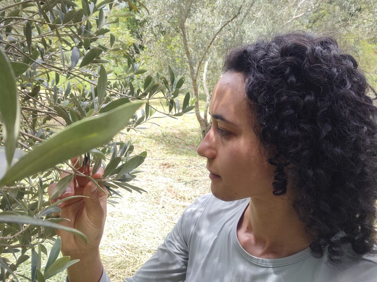 Ayurveda e Agroecologia