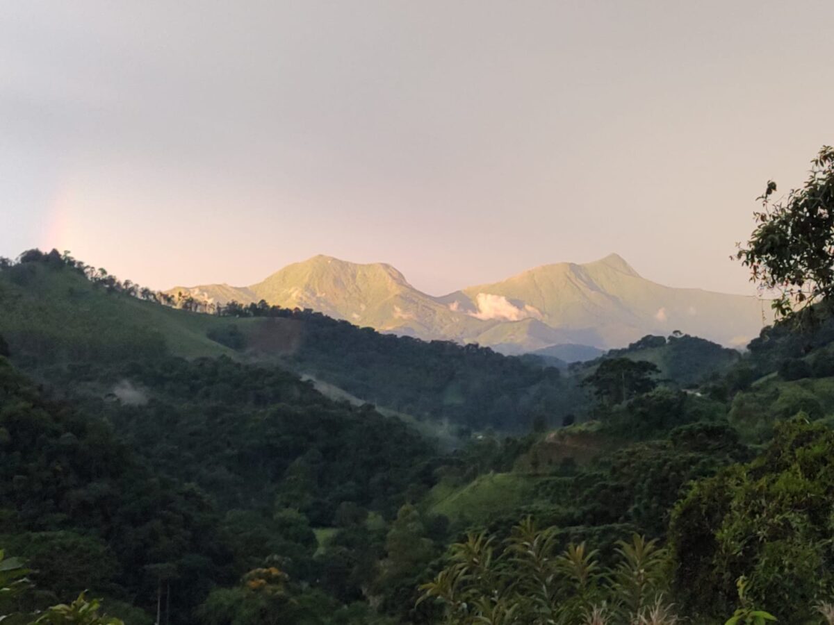 Ayurveda e Agroecologia