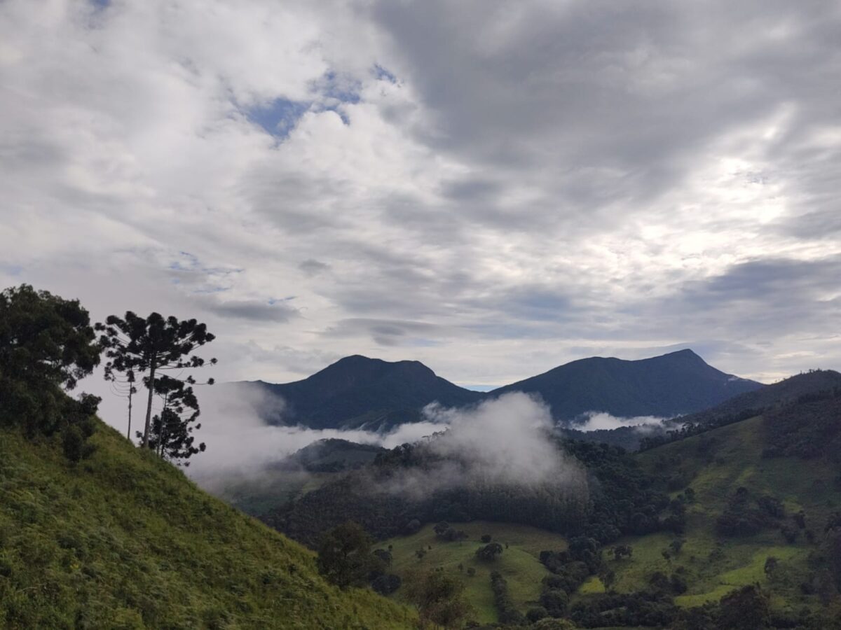 Ayurveda e Agroecologia